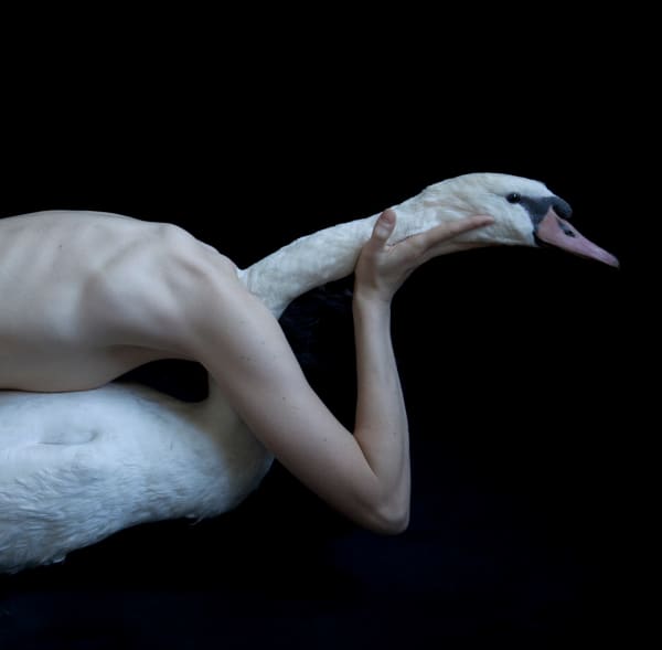 Juul Kraijer, Untitled photograph, 2016