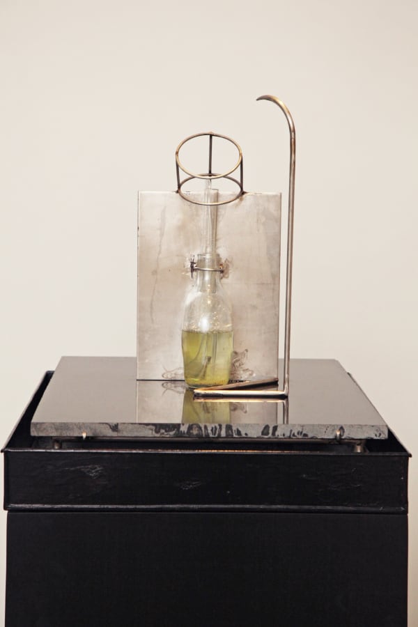 Susanta Mandal, It Doesnot Bite -II, 2007