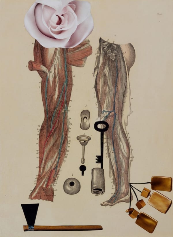 Anju Dodiya, Ancient Key, 2014
