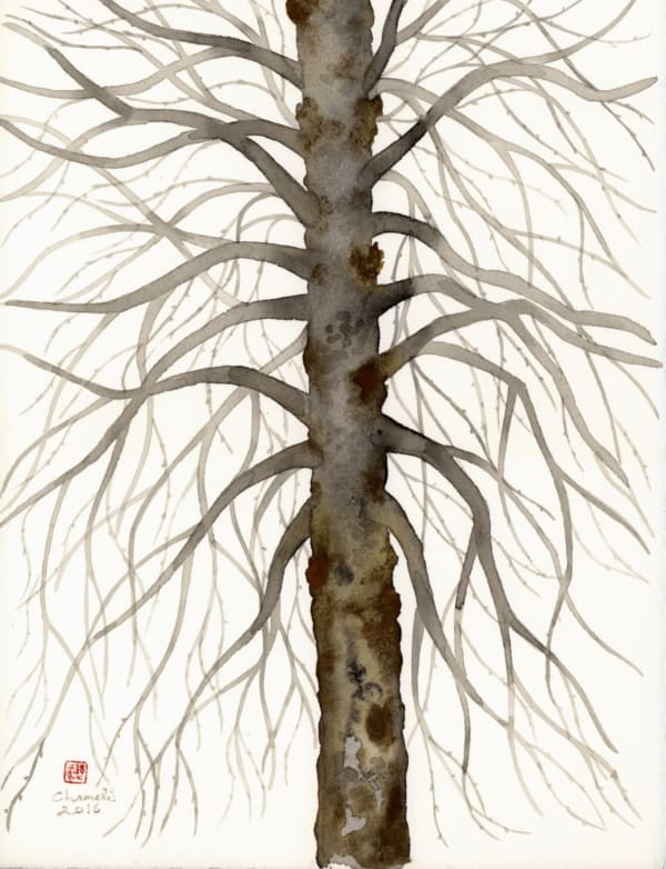 Chameli Ramachandran, Untitled, 2016