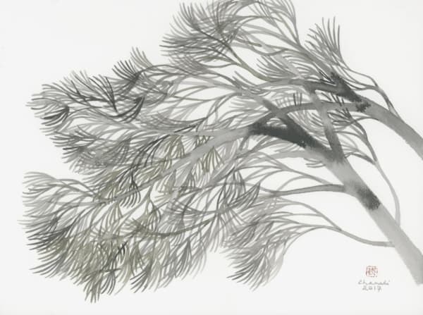 Chameli Ramachandran, Untitled, 2017