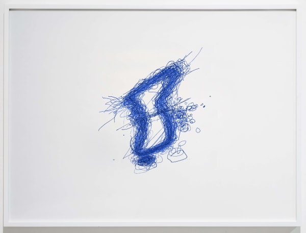 Shilpa Gupta, 100 Hand drawn maps of my country