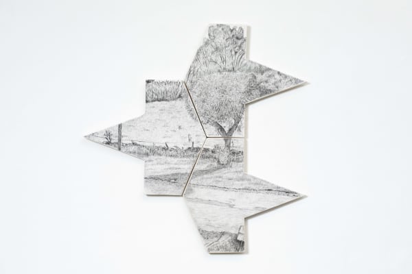 Praneet Soi, View from my Window, Le Maupas, 2021