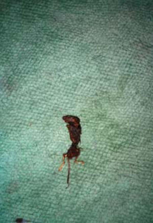 Anna Fox, Untitled (from the 41 Hewit:Road Series)