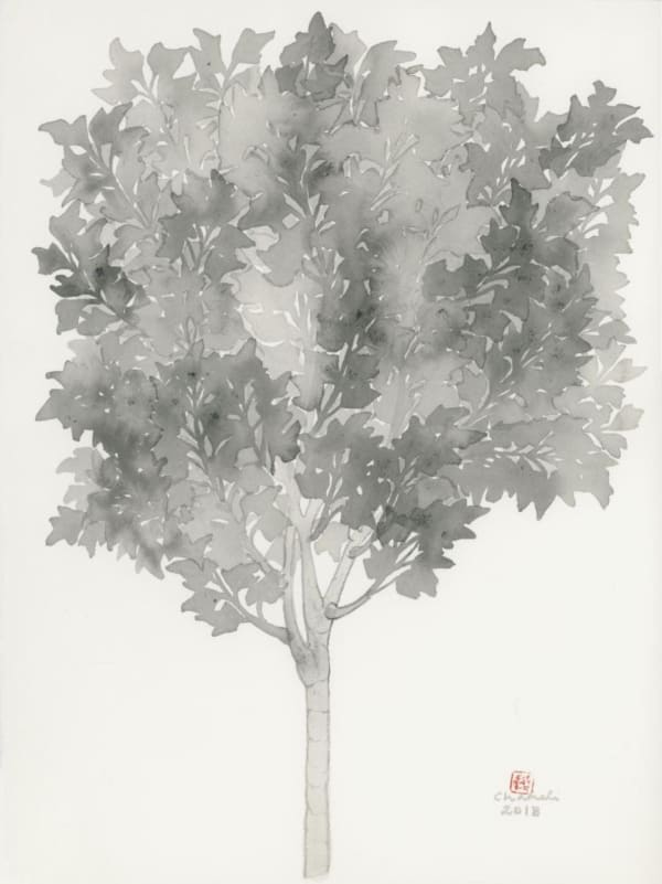 Chameli Ramachandran, Untitled, 2018