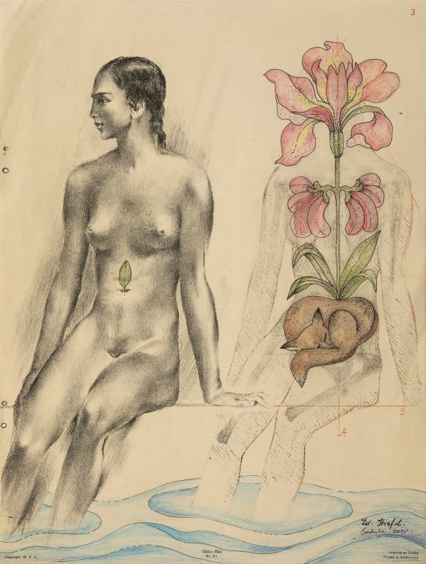 Bakula Nayak, Amaryllis, 2020