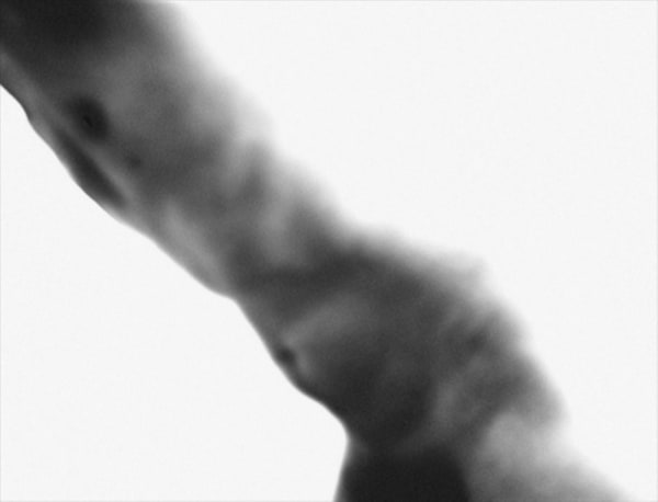 Rameshwar Broota, Untitled - 7 (Edition - 6/20), 2007