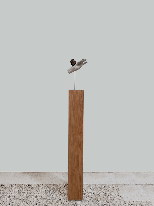 Shilpa Gupta, Untitled, 2021