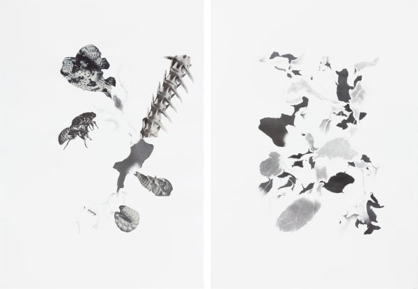 Apnavi Makanji, Drawing Breath LXXIV, 2019