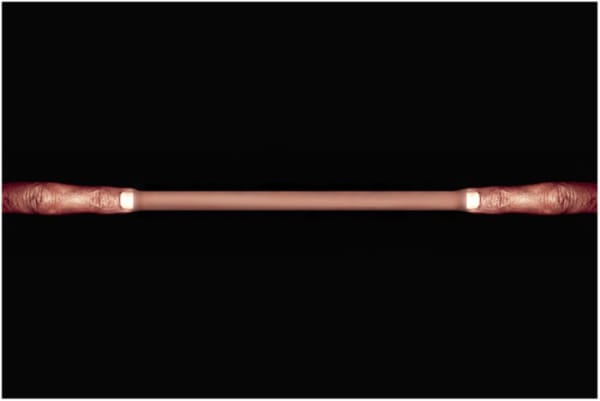 Rameshwar Broota, Edition 12/20, 2007