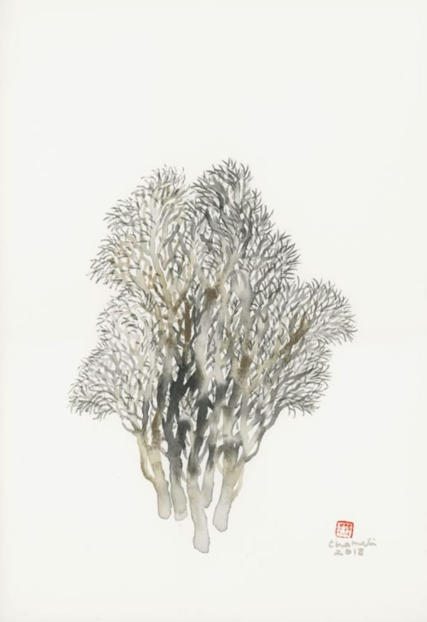 Chameli Ramachandran, Untitled, 2018