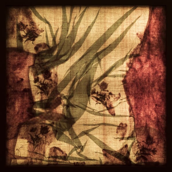 Rakhi Peswani, Sensation Samplers