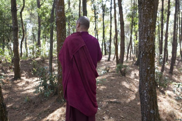 Briana Blasko, Lama Doshu 1 Pharping, Nepal, 2016