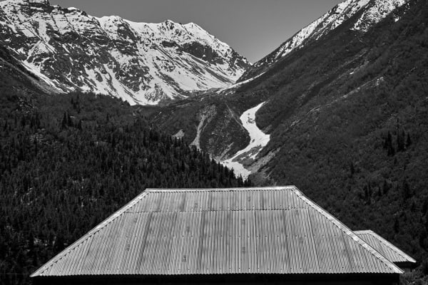 Vicky Roy, Untitled, 2015