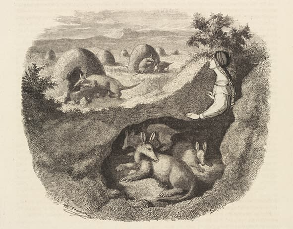 Juul Kraijer, Untitled, 2021