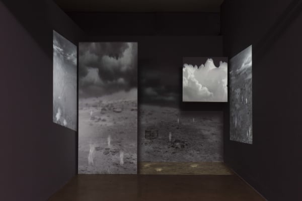 Ranbir Kaleka, Not Anonymous _ Waking to the Obscure Fear of a New Dawn