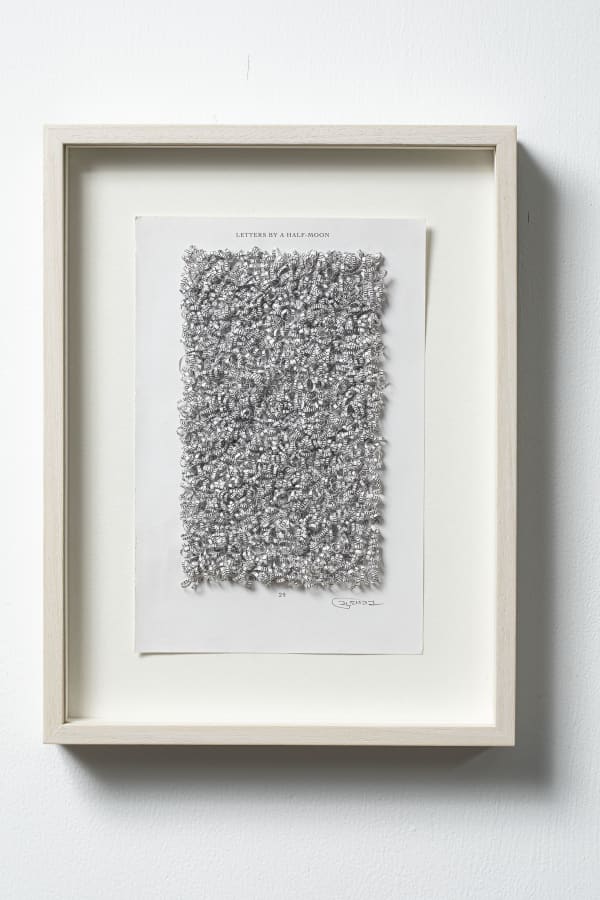 Youdhisthir Maharjan, Letters by a Half-Moon (P. 29) , 2021