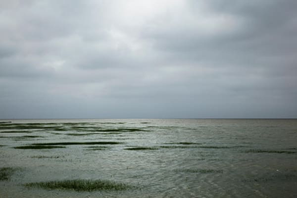 Atul Bhalla, Inundation -I, 2012