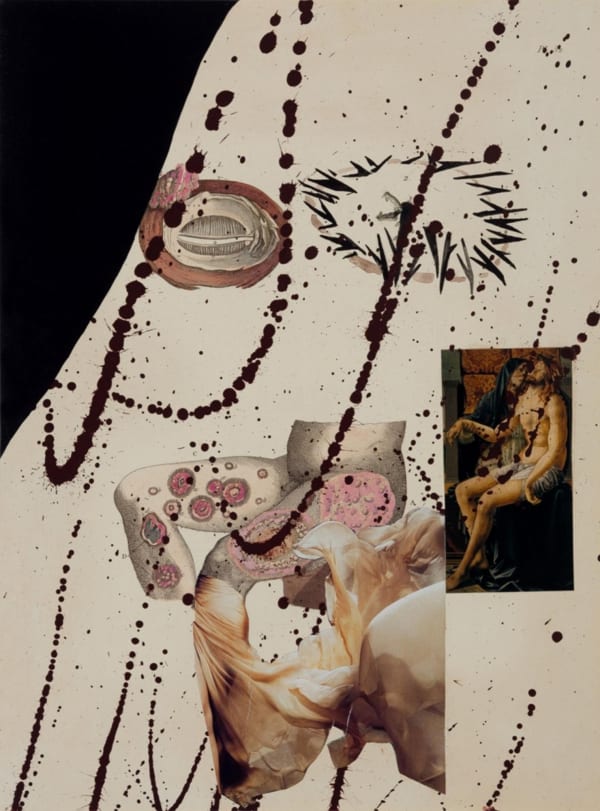 Anju Dodiya, His Wound, 2014