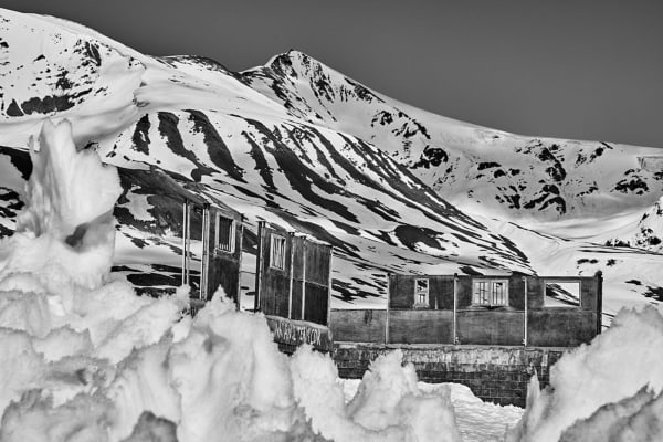 Vicky Roy, Untitled, 2016