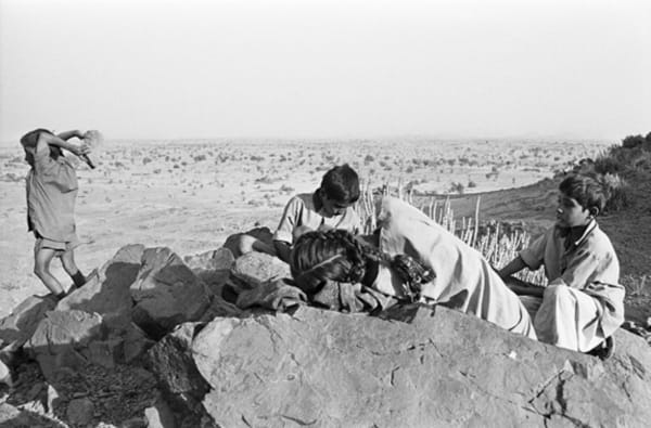 Gauri Gill, Jannat# 24 (Edition:1/7 + 2AP), 9907