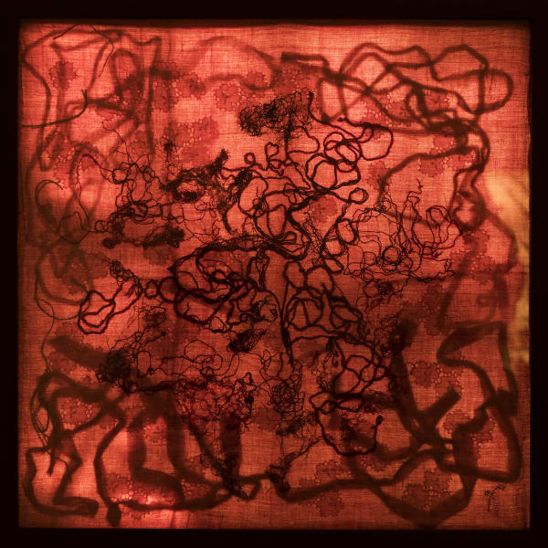 Rakhi Peswani, Sensation Samplers