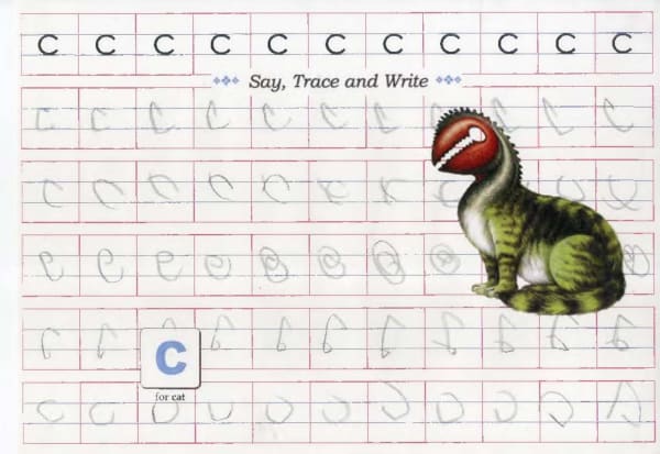 Aruna Rao, Say,Trace and Write