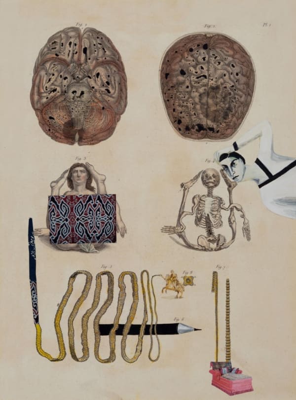 Anju Dodiya, Midas Touch, 2014