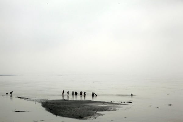 Atul Bhalla, Occupy, 2014