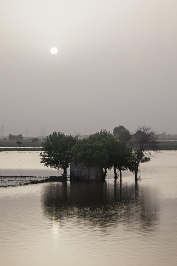 Atul Bhalla, Untitled