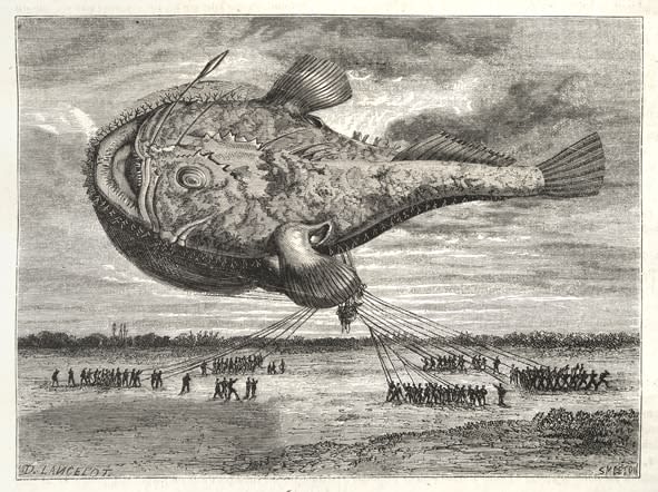 Juul Kraijer, Untitled, 2020