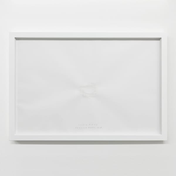 Shilpa Gupta, 1:1547703 Olive Tree, 2013