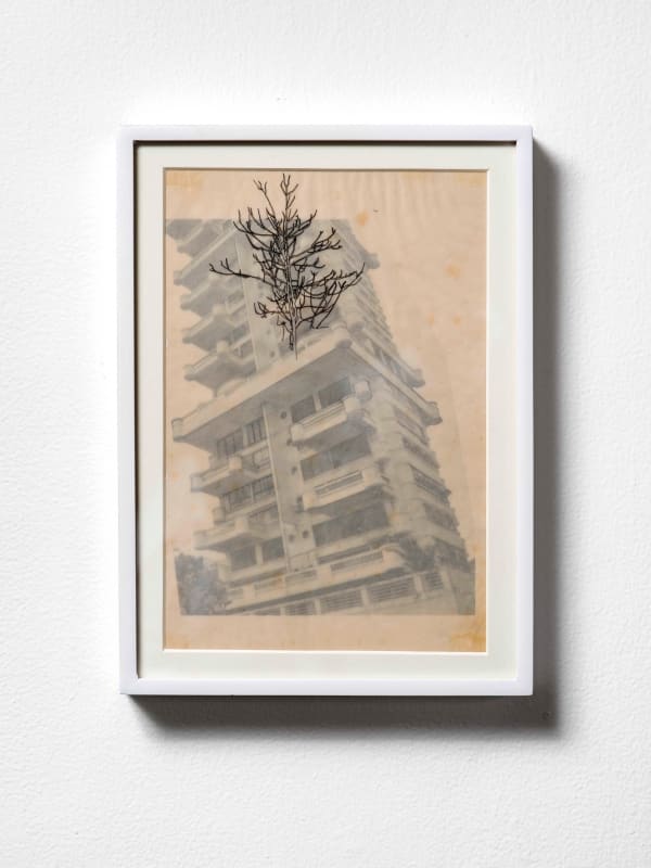 Praneet Soi, Untitled, 2011