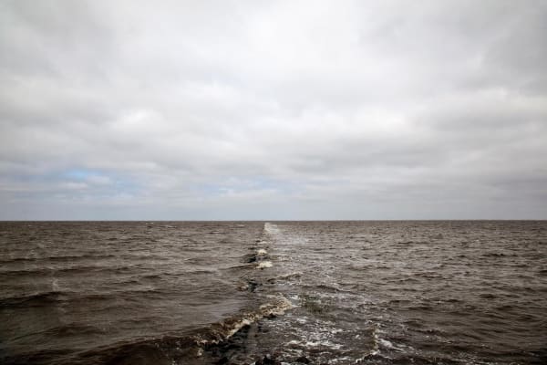 Atul Bhalla, Inundation -II, 2012