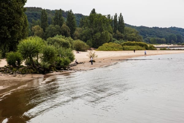 Atul Bhalla, Gold Coast, 2014