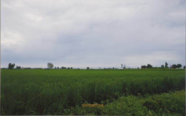 Shilpa Gupta, Looking for Kurukshetra, 2008