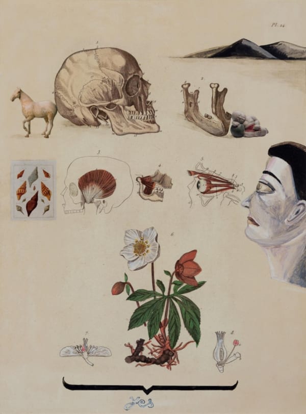 Anju Dodiya, Landmark, 2014