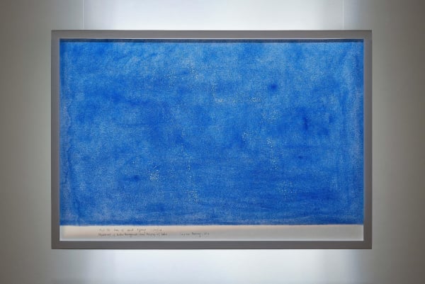 Shilpa Gupta, Untitled