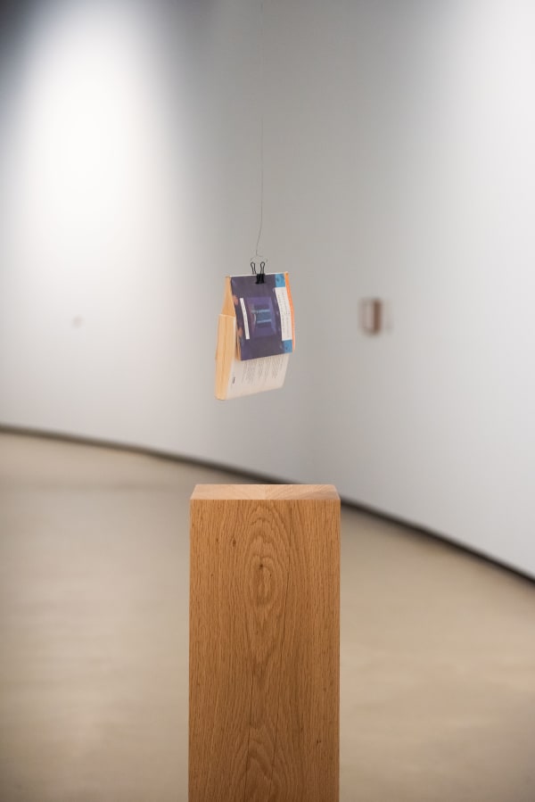 Shilpa Gupta, Untitled , 2021