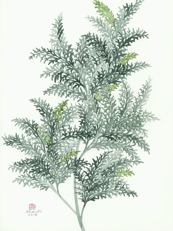 Chameli Ramachandran, Untitled, 2017