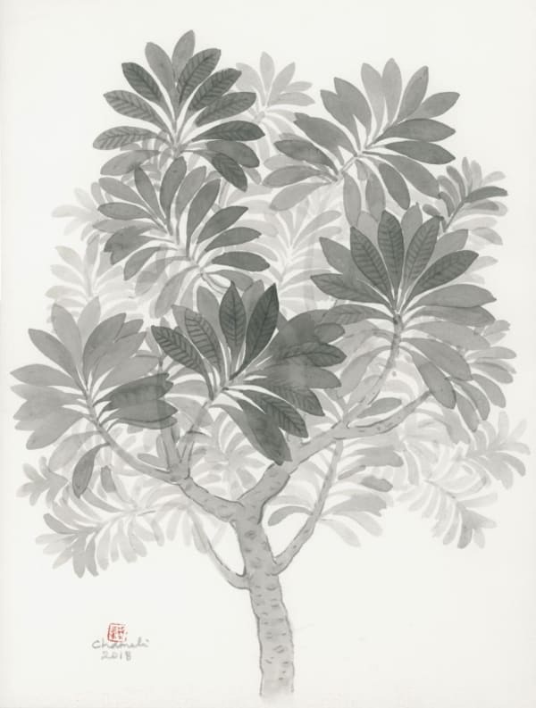 Chameli Ramachandran, Untitled, 2018