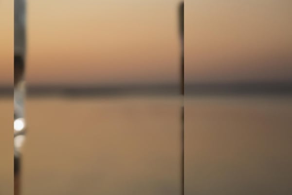 Atul Bhalla, Anhedonic Landscape II (Edition :1/3)