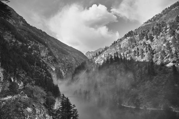 Vicky Roy, Untitled, 2016