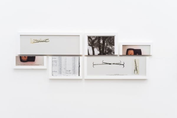 Shilpa Gupta, Untitled - F, 2012 - 2014