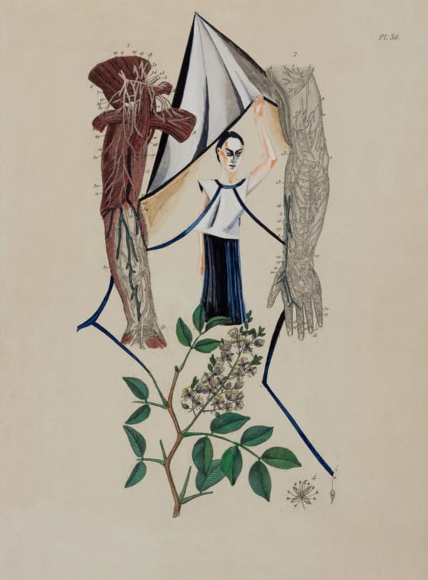 Anju Dodiya, Blue Ribbons, 2014