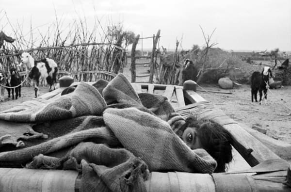 Gauri Gill, Jannat# 34 (Edition:1/7 + 2AP), 9907