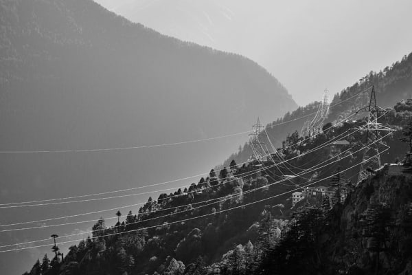 Vicky Roy, Untitled, 2015