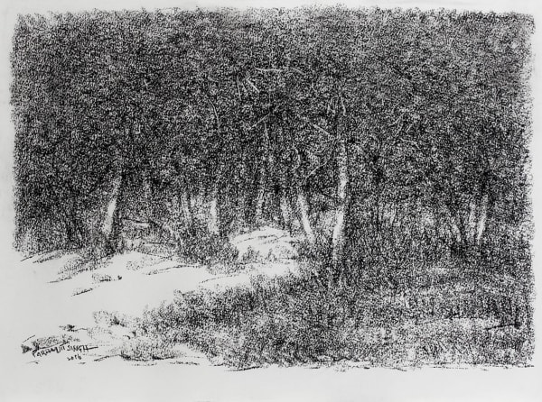 Paramjit Singh, Untitled, 2016