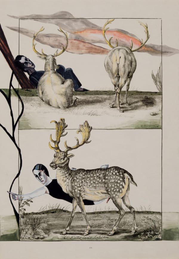 Anju Dodiya, The Road not Taken, 2014