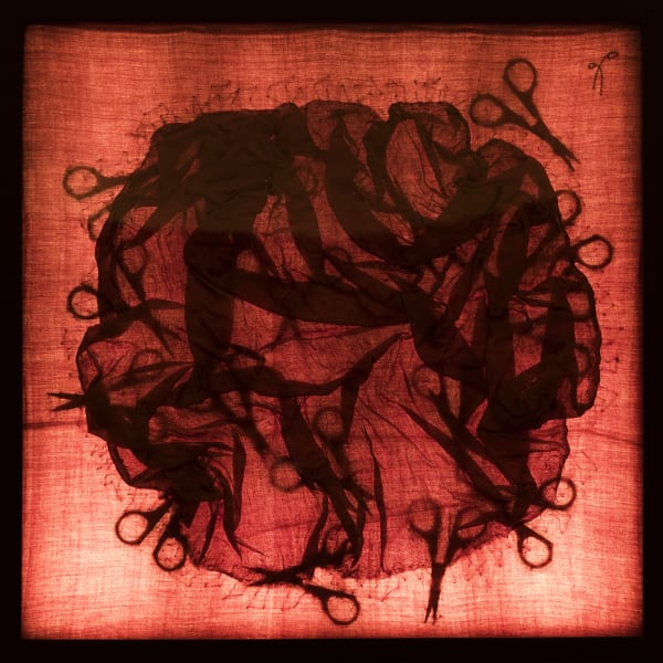 Rakhi Peswani, Sensation Samplers